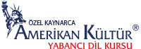 Kaynarca Amerikan Kültür